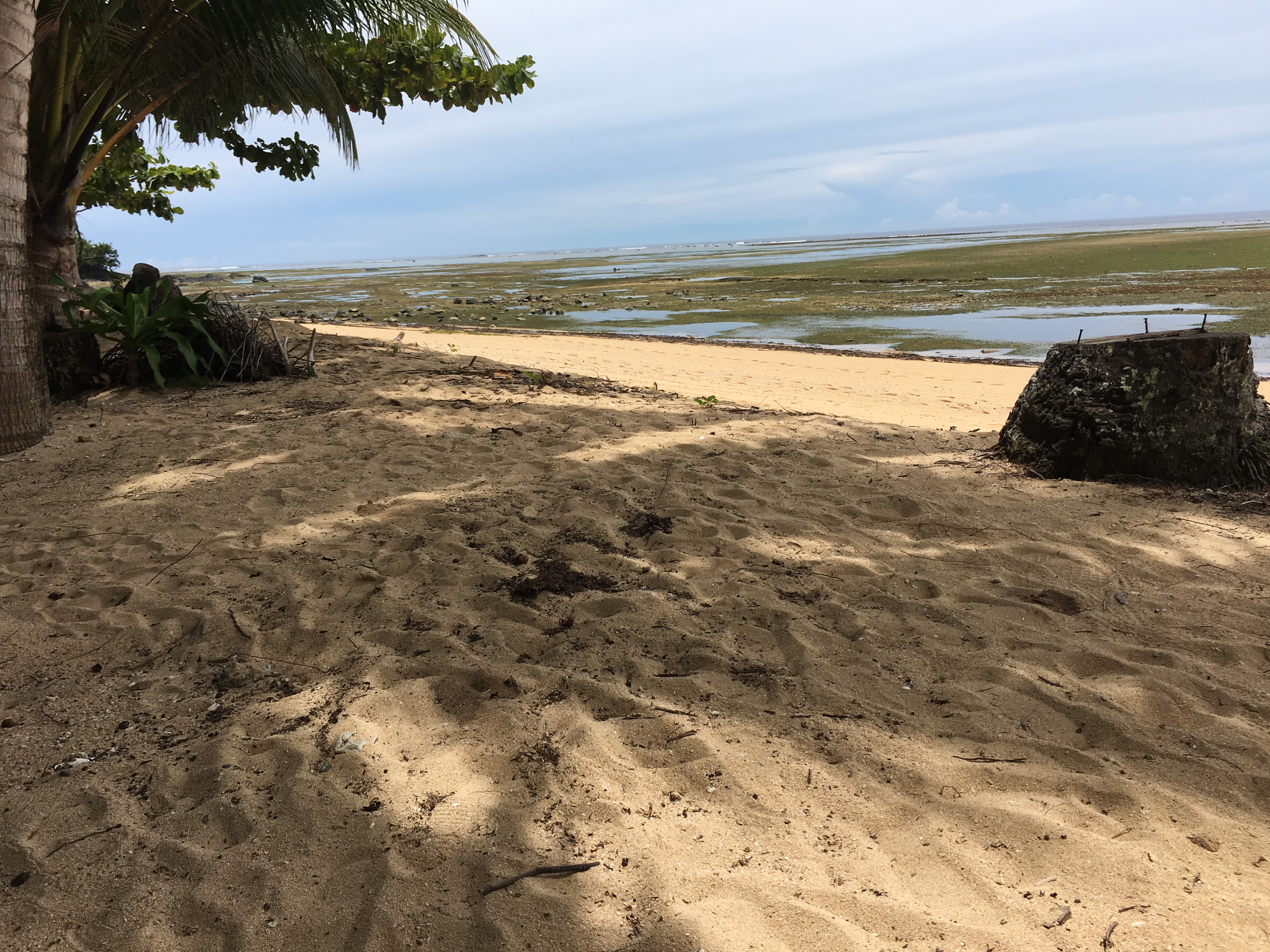 <b class="font-bara"><i class="bi bi-geo-fill h4"></i> CASTILLO BEACH</b> <br/>